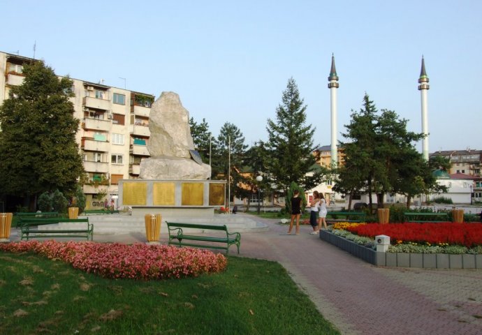 Živinice