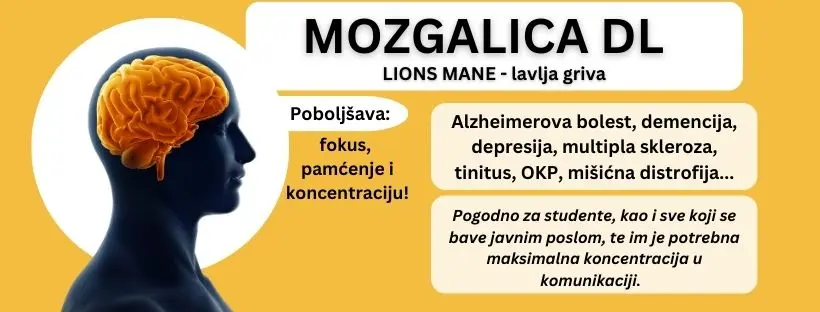Body-držim liniju d.o.o. Sarajevo