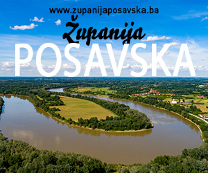Zupanija posavska