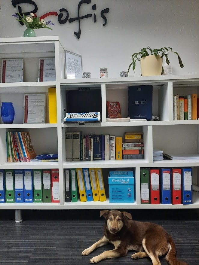 Agencija za prevođenje PROFIS d.o.o. Sarajevo